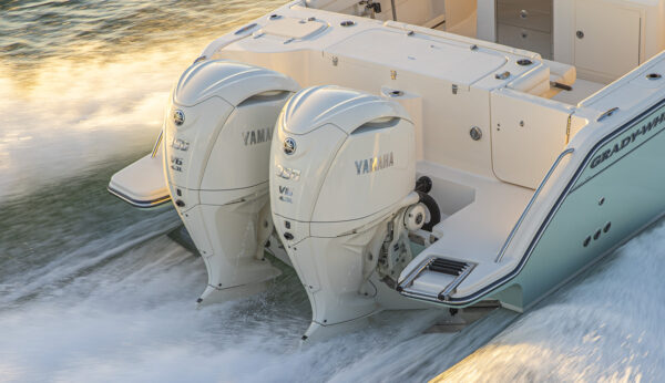 4.3L V6 Offshore F350 - Image 5